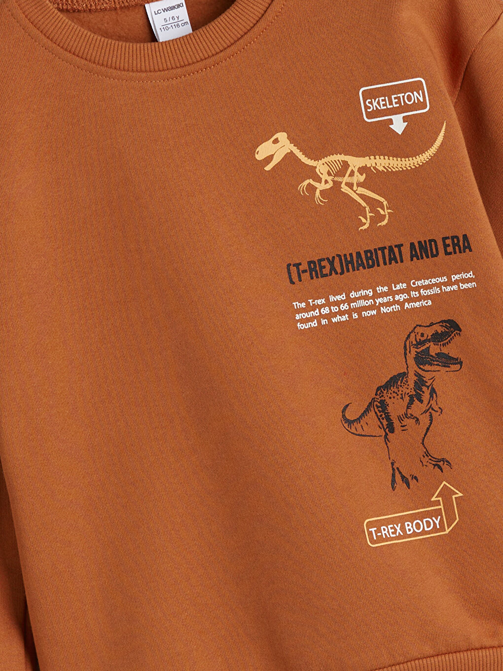 Gri Dinozor Figürlü Erkek Çocuk Sweatshirt 2'li-8