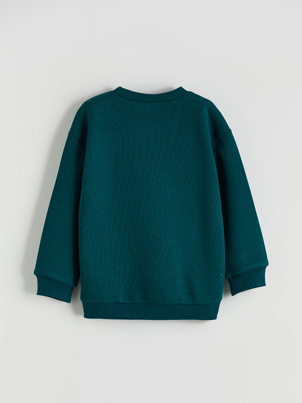 Yeşil Baskılı Erkek Çocuk Kalın Sweatshirt-2