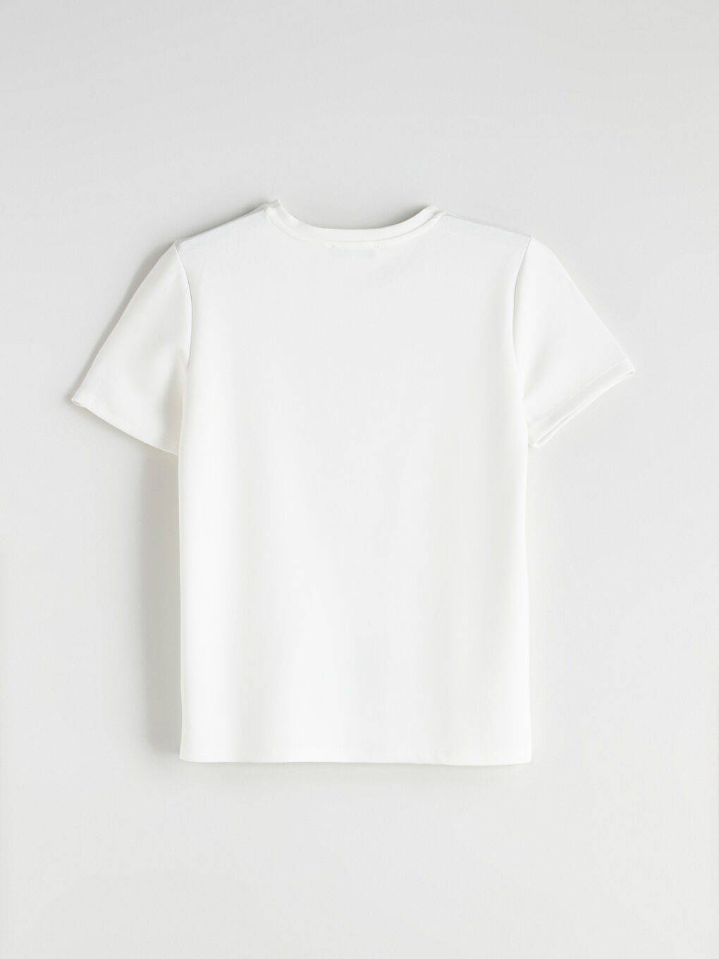 LCWAIKIKI Classic Crew Neck Embroidered Women's T-Shirt -W5KF25Z8-R9J