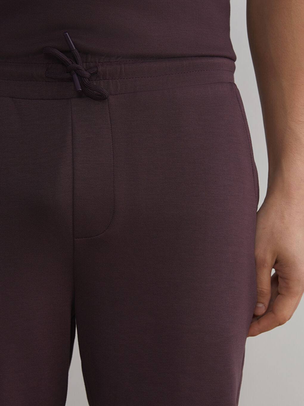 Mürdüm Standart Kalıp Erkek Şort-4