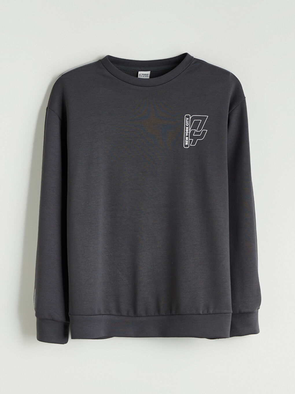 Antrasit Bisiklet Yaka Erkek Çocuk Sweatshirt