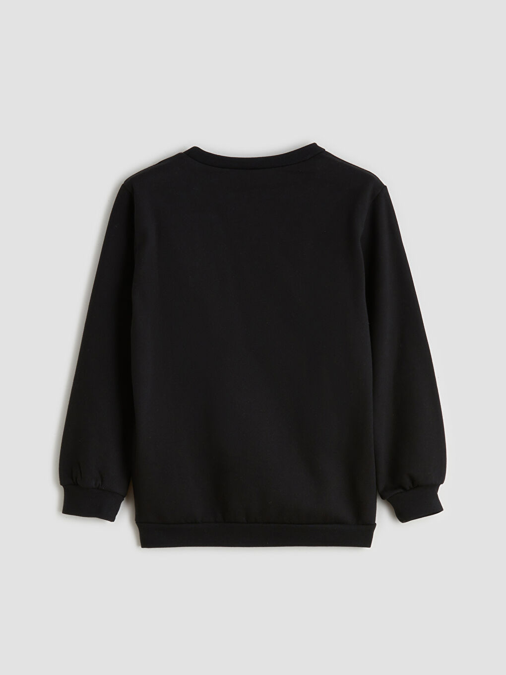 Crew Neck Bear Teddy Printed Boys' Sweatshirt-1