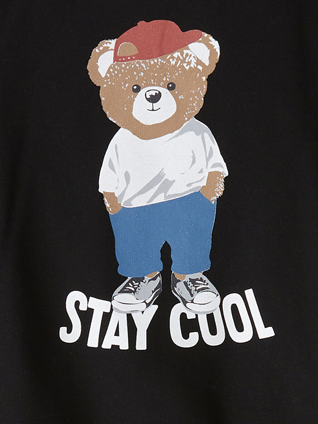 Crew Neck Bear Teddy Printed Boys' Sweatshirt-2