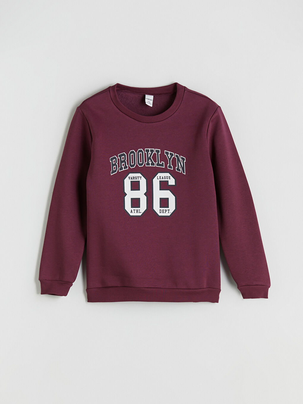 Crew Neck Printed Boys' Sweatshirt