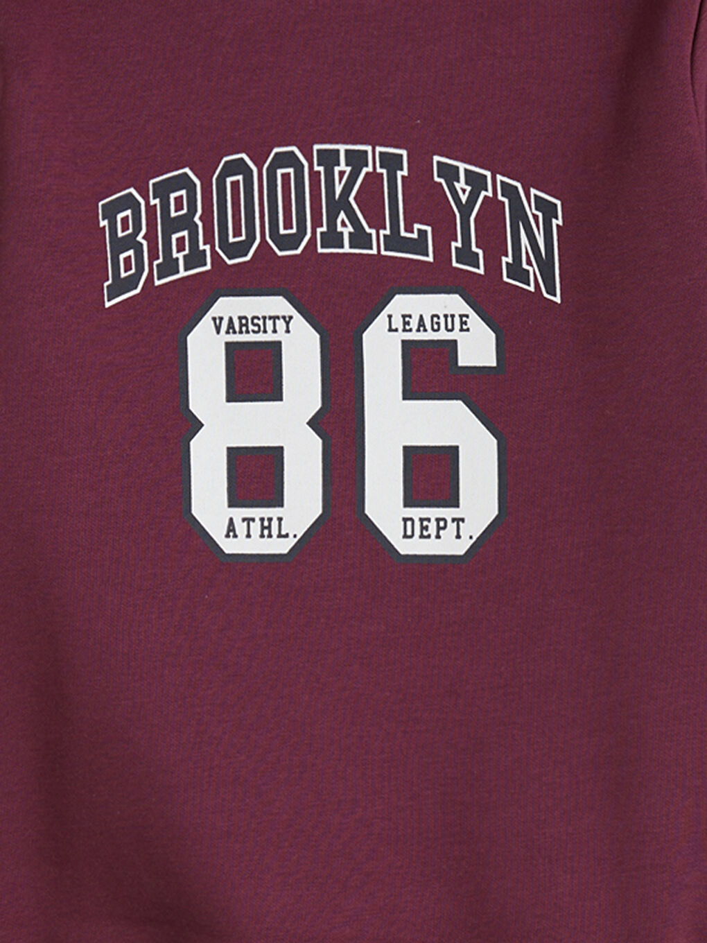 Crew Neck Printed Boys' Sweatshirt-1