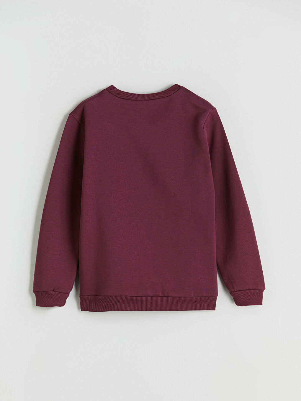Crew Neck Printed Boys' Sweatshirt-2