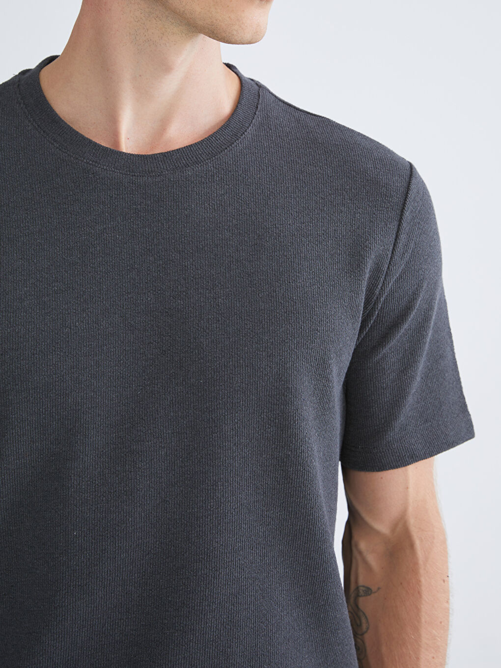 Antrasit Bisiklet Yaka Erkek Tişört-2