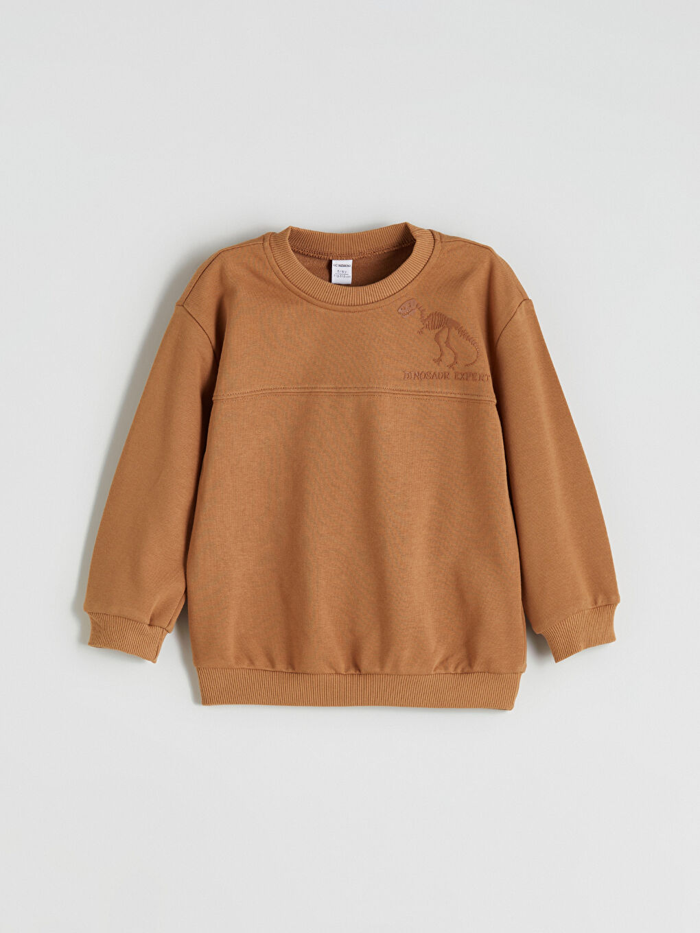 Kahverengi Bisiklet Yaka Dinozor Baskılı Erkek Çocuk Sweatshirt