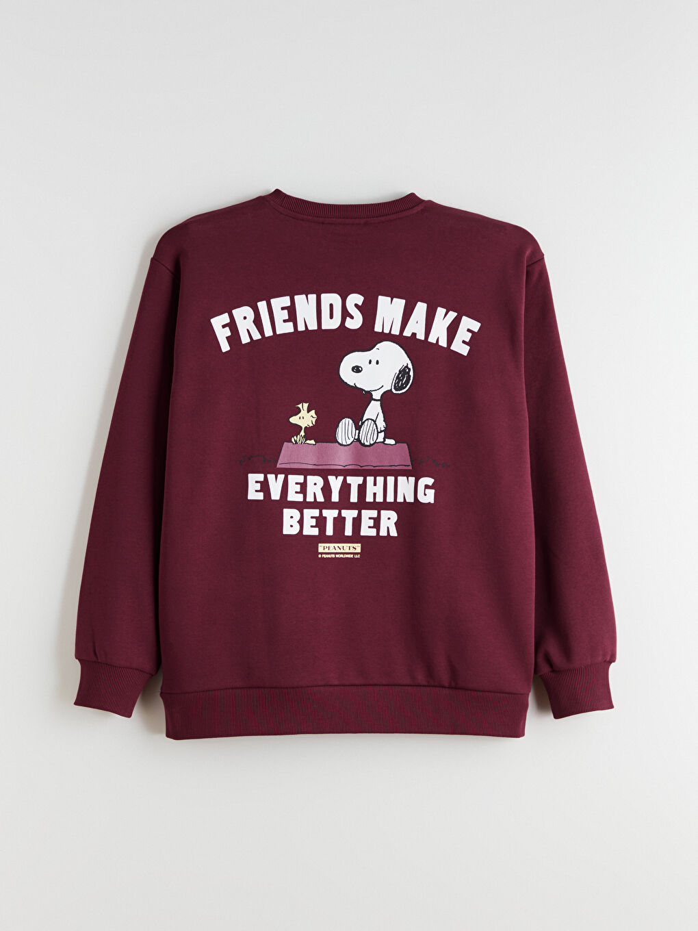 Snoopy Printed Oversize Women's Thick Sweatshirt-8