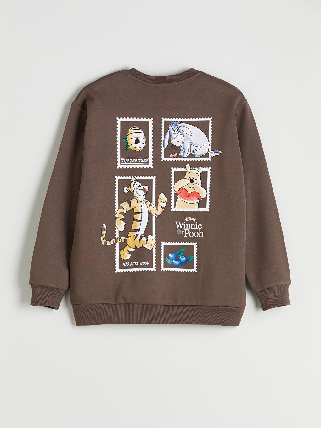 Kahverengi Winnie the Pooh Baskılı Oversize Kadın Kalın Sweatshirt-7