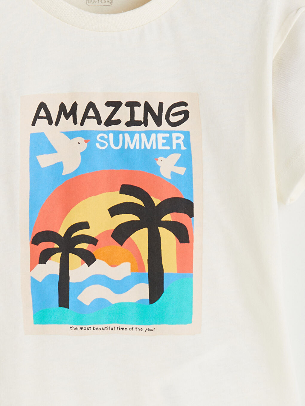 Ekru Bisiklet Yaka Baskılı Erkek Bebek Tişört-2