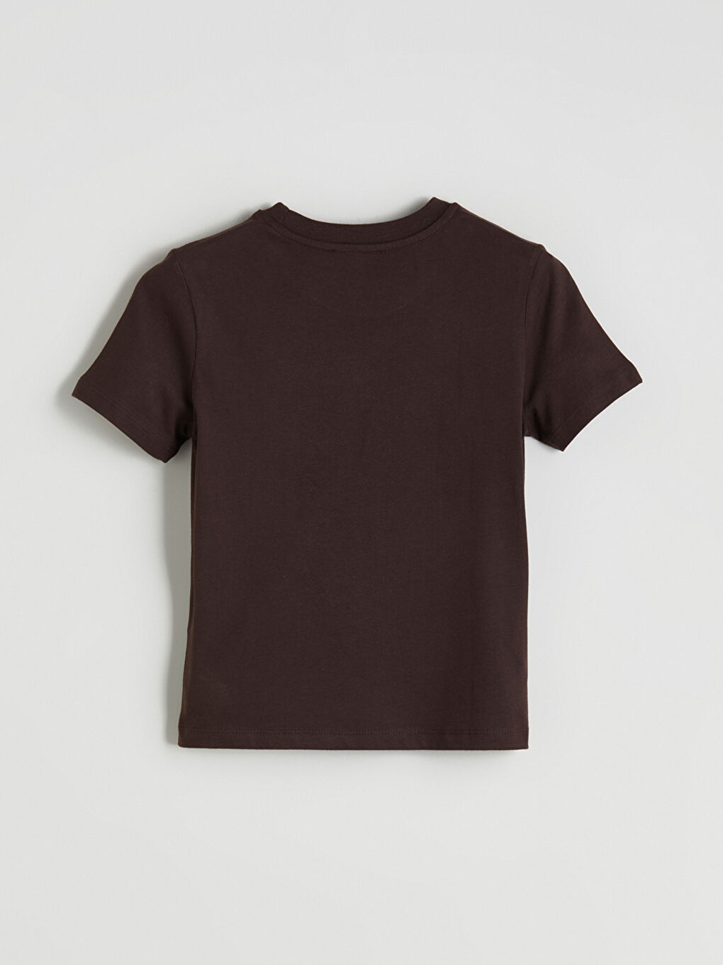 Kahverengi Bisiklet Yaka Nakışlı Kadın Tişört-5