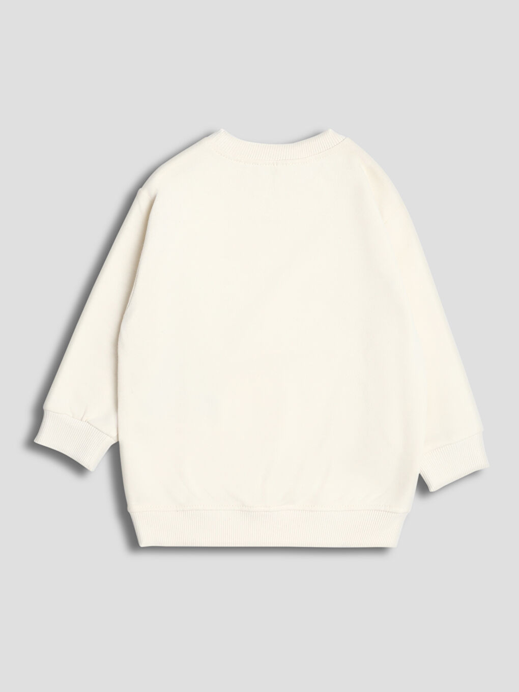 Crew Neck Printed Boys' Sweatshirt 2 Pack-2