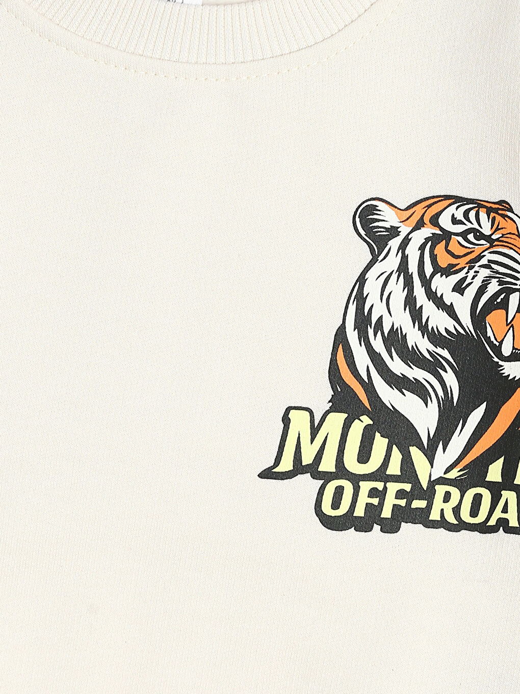 Crew Neck Printed Boys' Sweatshirt 2 Pack-3