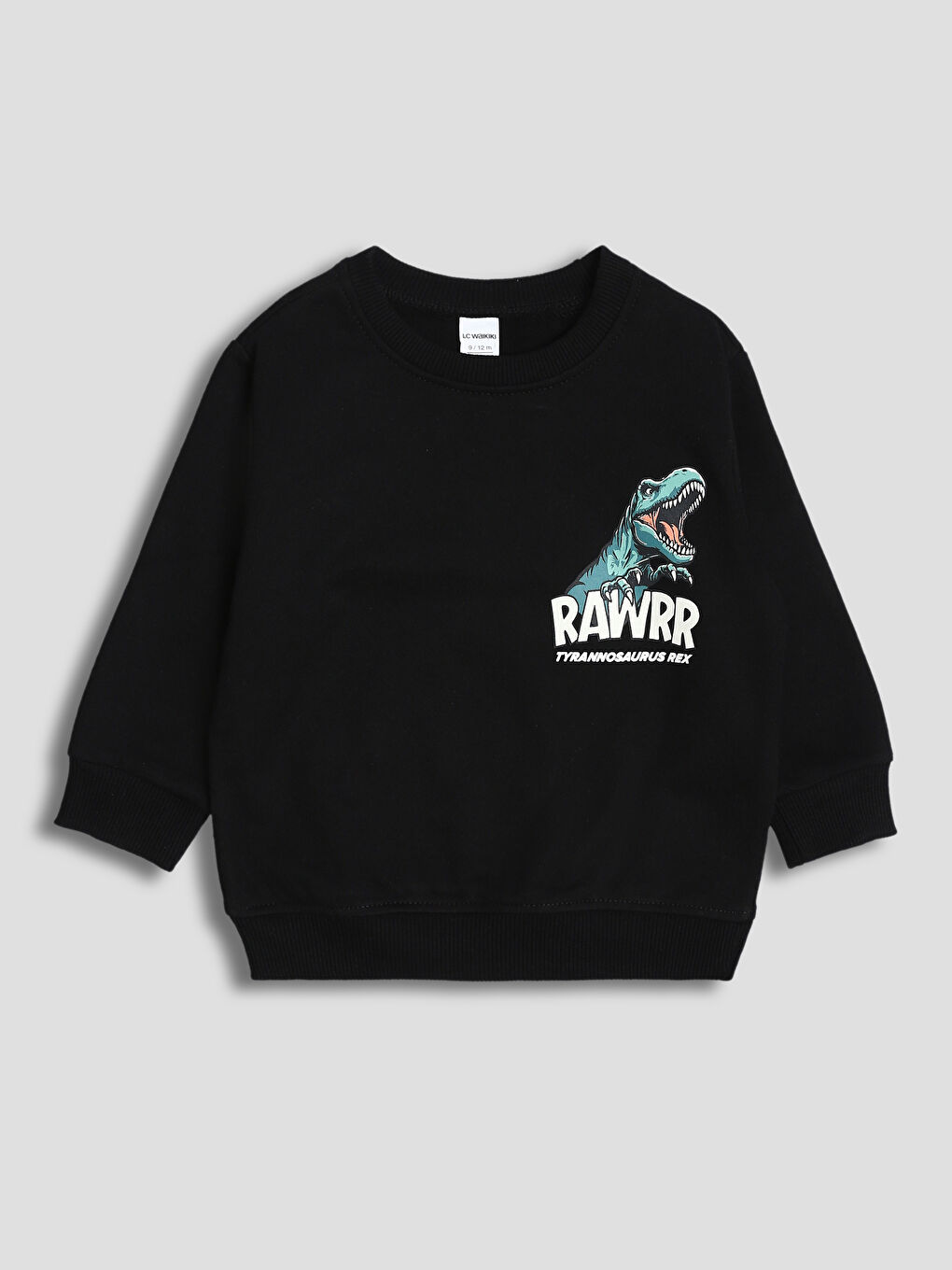 Crew Neck Printed Boys' Sweatshirt 2 Pack-4