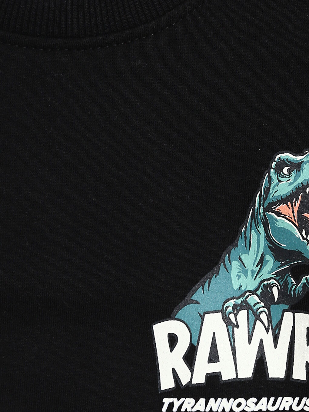 Crew Neck Printed Boys' Sweatshirt 2 Pack-6