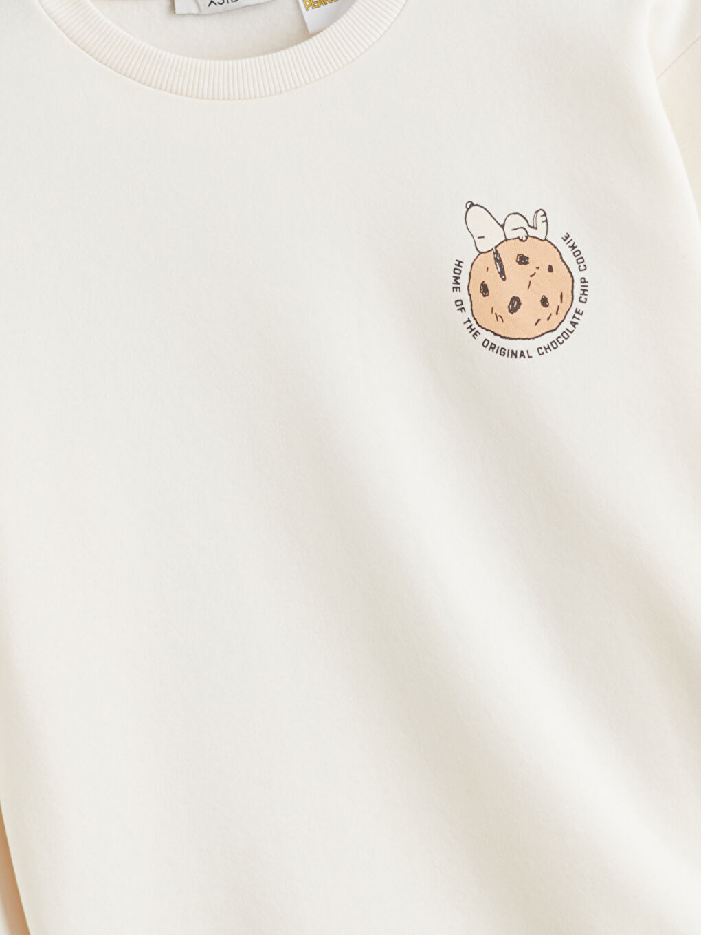 Snoopy Printed Oversize Women's Thick Sweatshirt-6