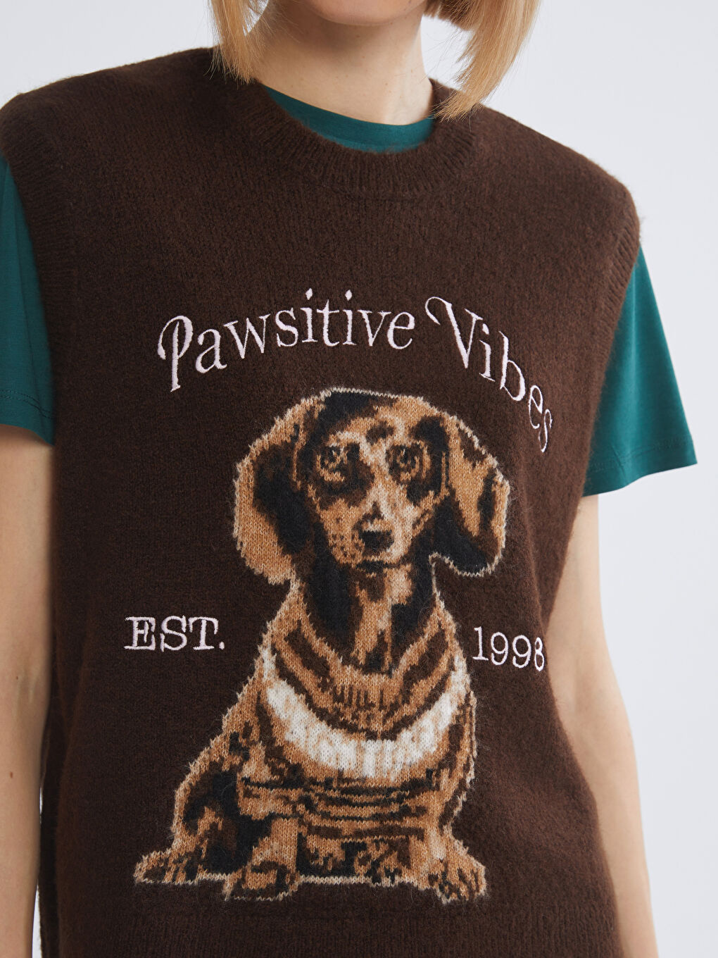 Kahverengi Bisiklet Yaka Köpek Baskılı Kadın Triko Süveter-2