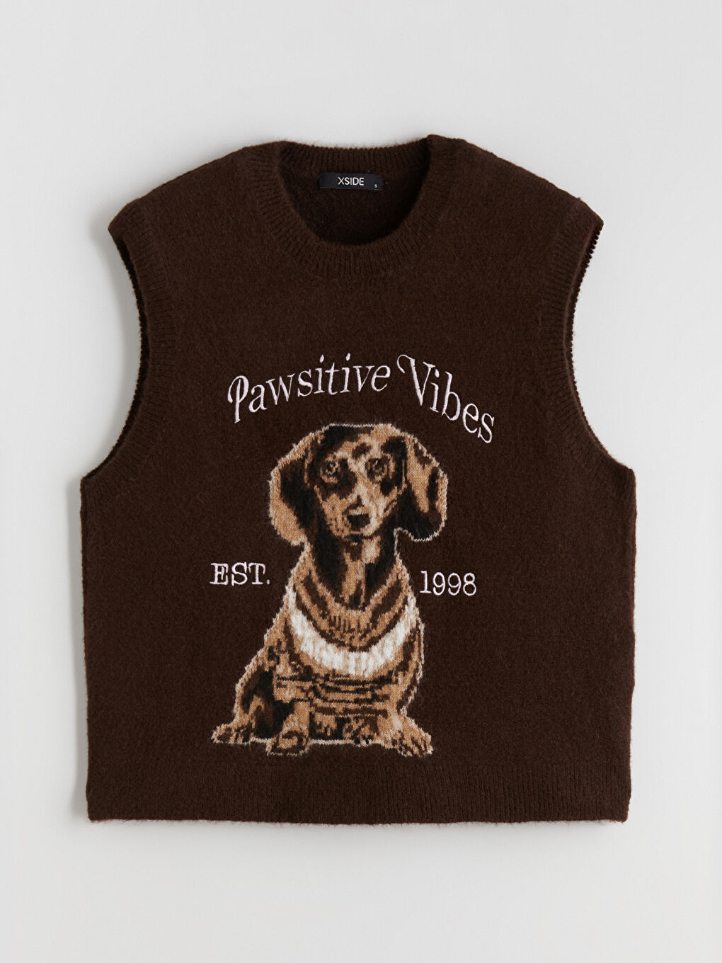 Kahverengi Bisiklet Yaka Köpek Baskılı Kadın Triko Süveter-4