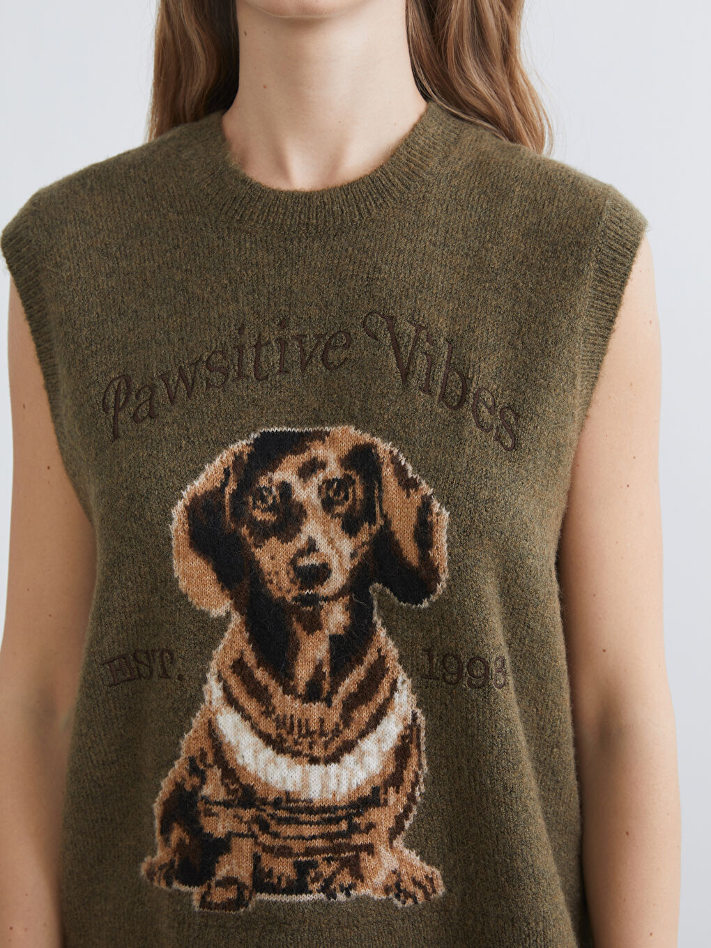 Haki Bisiklet Yaka Köpek Baskılı Kadın Triko Süveter-2