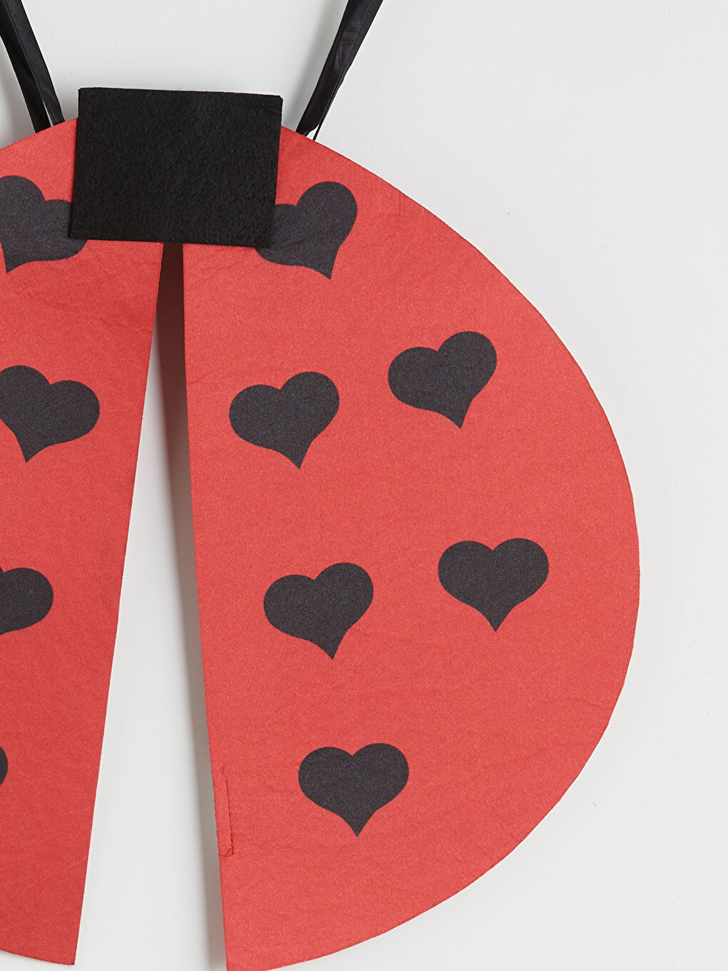 Kırmızı Uğur Böceği Tütü Etek ve Kanat Kostüm-4