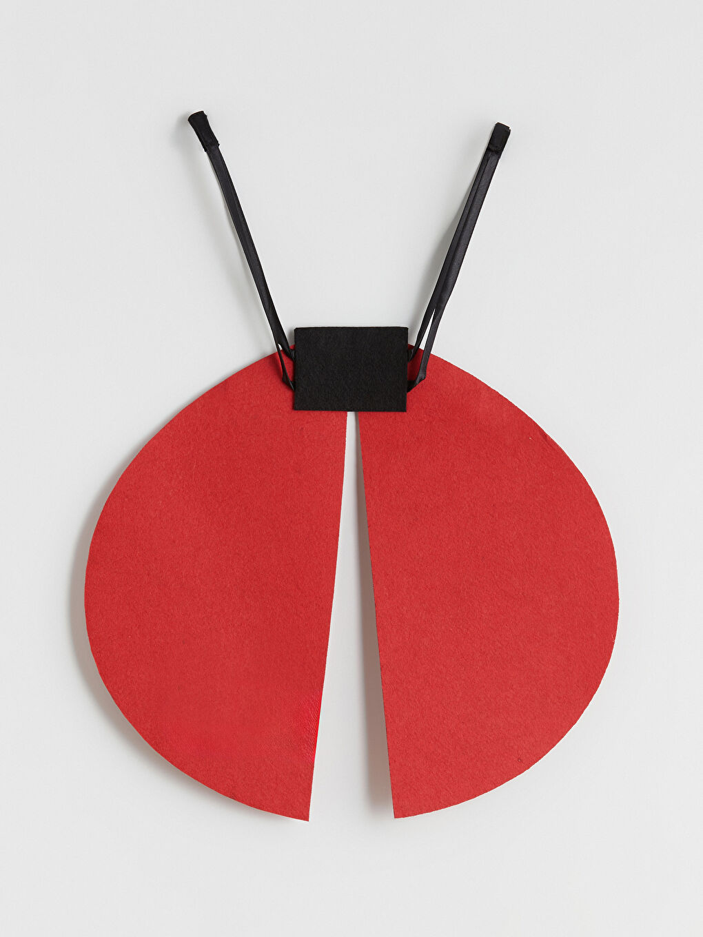 Kırmızı Uğur Böceği Tütü Etek ve Kanat Kostüm-5