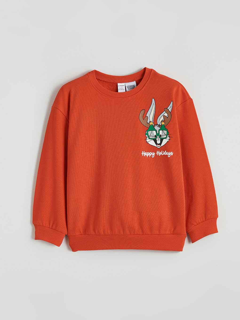 Bugs Bunny Printed Boys' Thick Sweatshirt-1