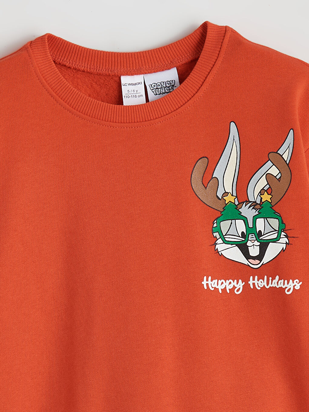 Bugs Bunny Printed Boys' Thick Sweatshirt-2