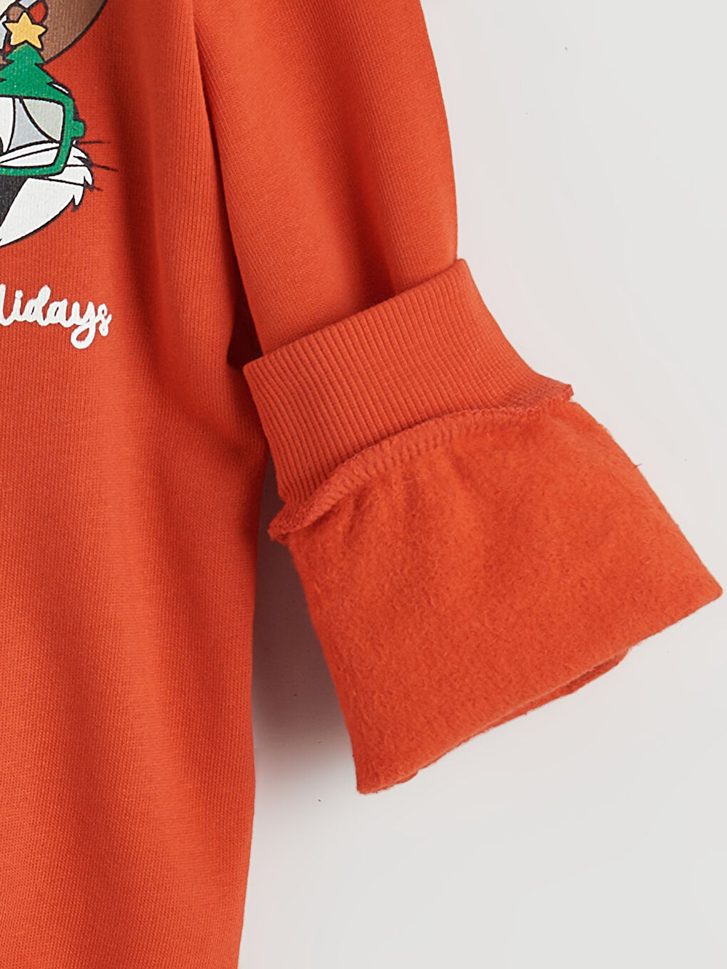 Bugs Bunny Printed Boys' Thick Sweatshirt-3