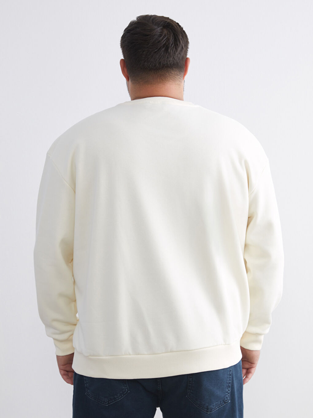 Large Size Crew Neck Men's Sweatshirt-3