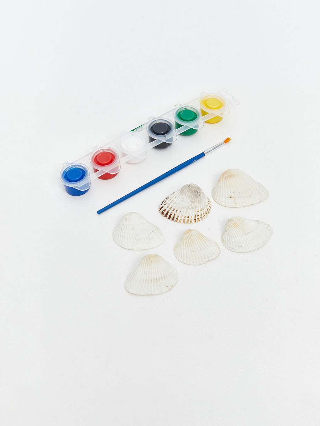 Deniz Kabuğu Boyama Seti-1