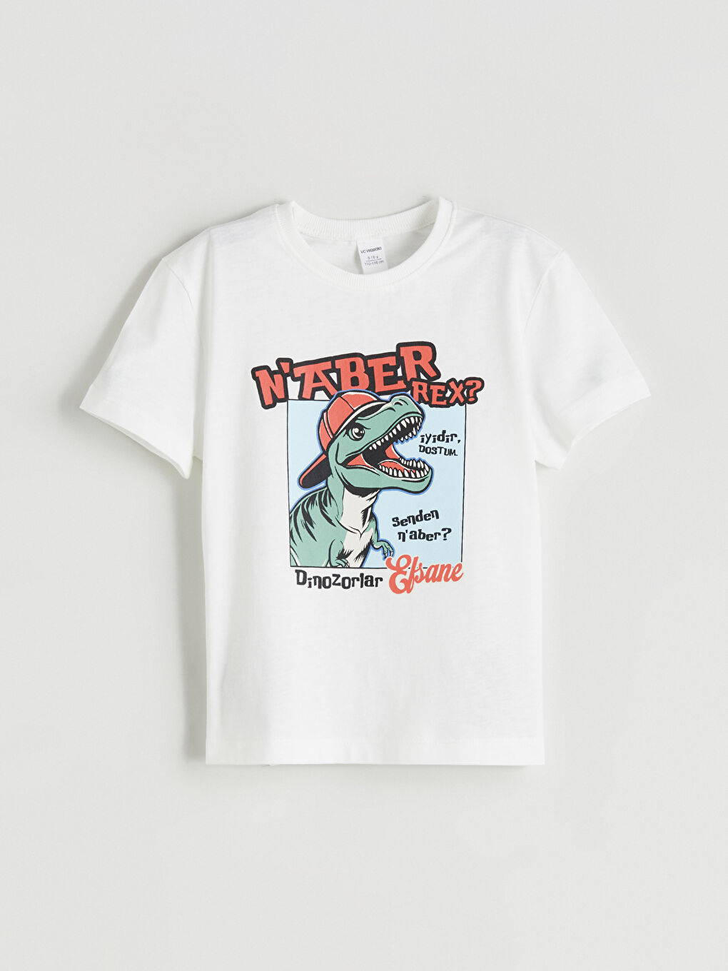 Ekru Bisiklet Yaka Dinozor Baskılı Erkek Çocuk Tişört-2