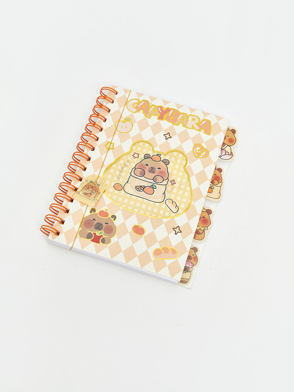 Çizgili Spiralli Not Defteri-1