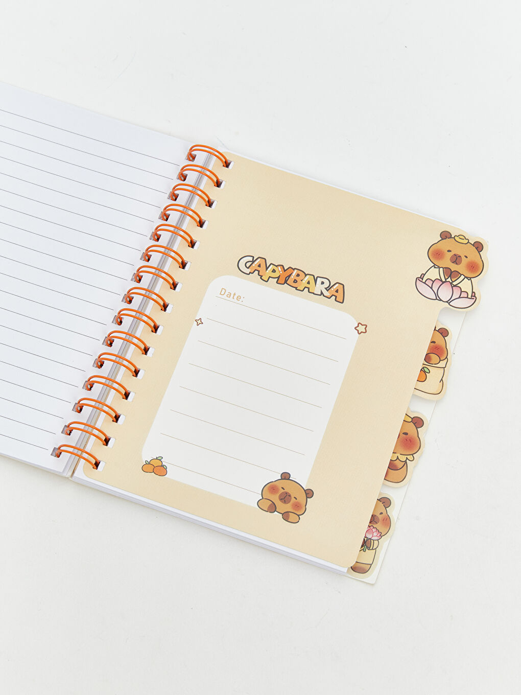 Çizgili Spiralli Not Defteri-2