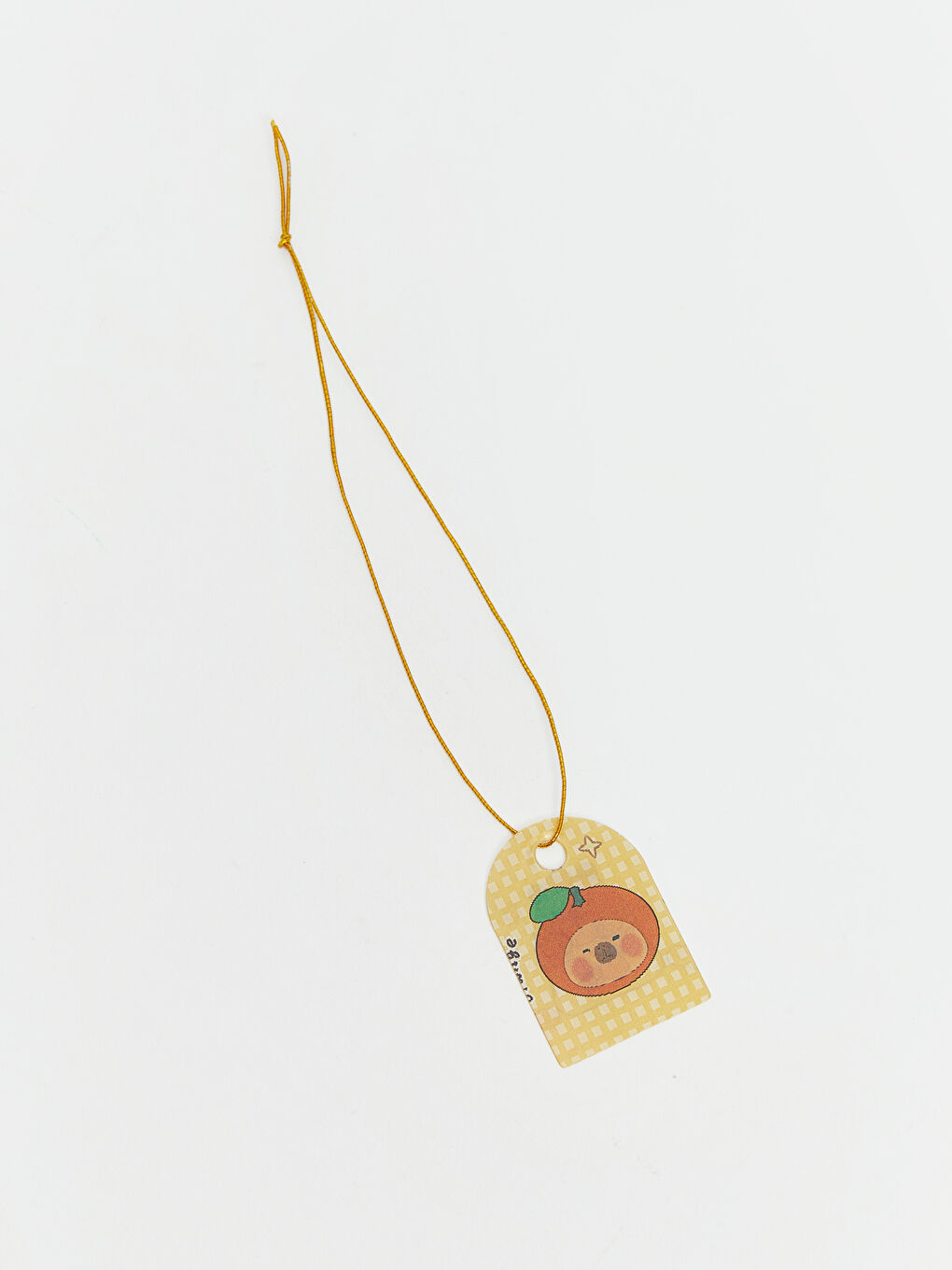 Çizgili Spiralli Not Defteri-3