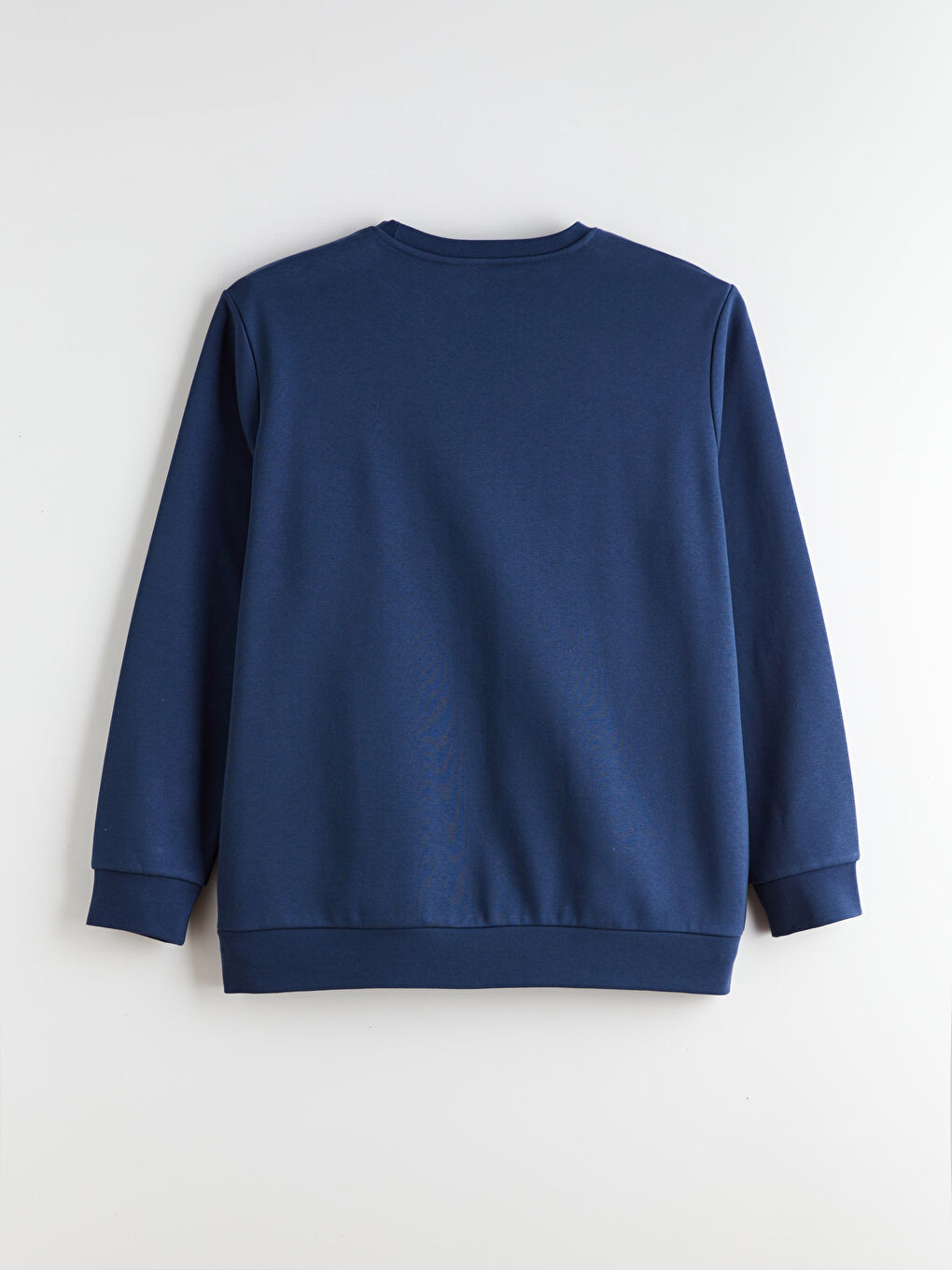 İndigo Büyük Beden Bisiklet Yaka Erkek Sweatshirt-5