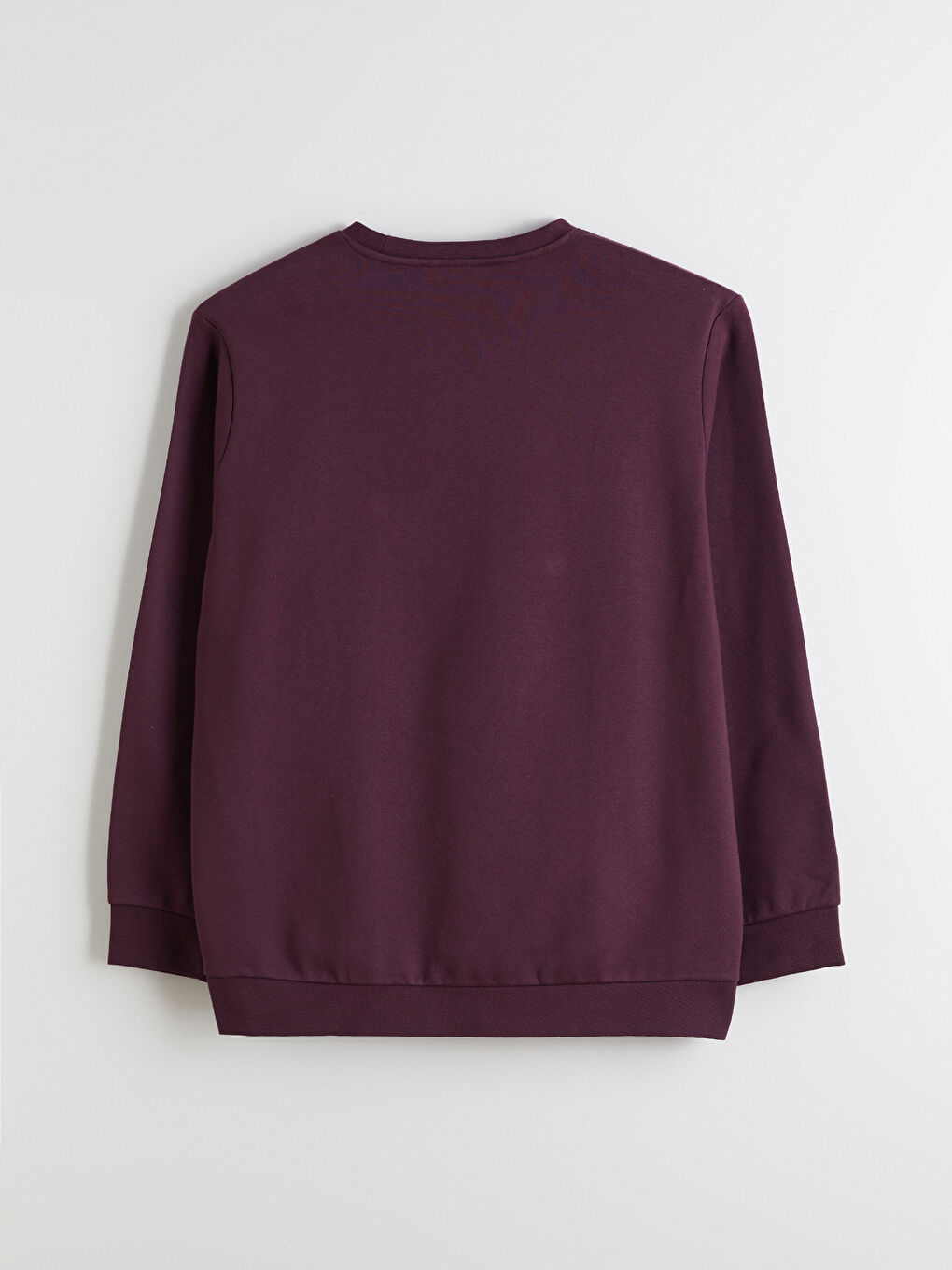 Mürdüm Büyük Beden Bisiklet Yaka Erkek Sweatshirt-6