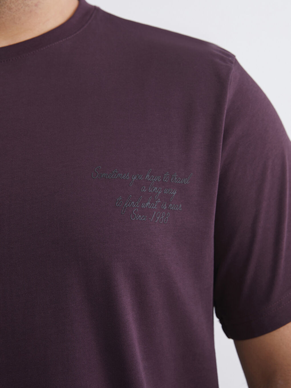 Mürdüm Büyük Beden Baskılı Penye Erkek Tişört-2