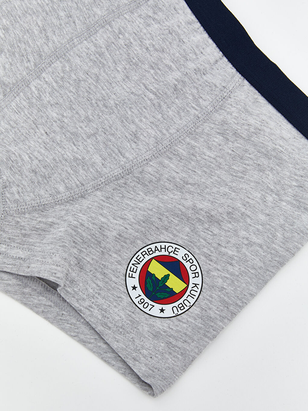 Fenerbahçe Printed Boy's Boxer 2-pack-2