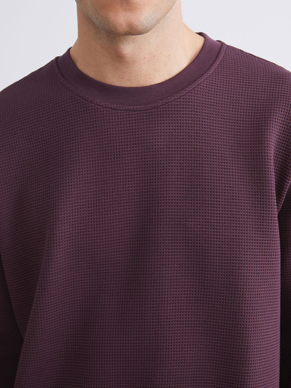 Mürdüm Bisiklet Yaka Dokulu Erkek Sweatshirt-2