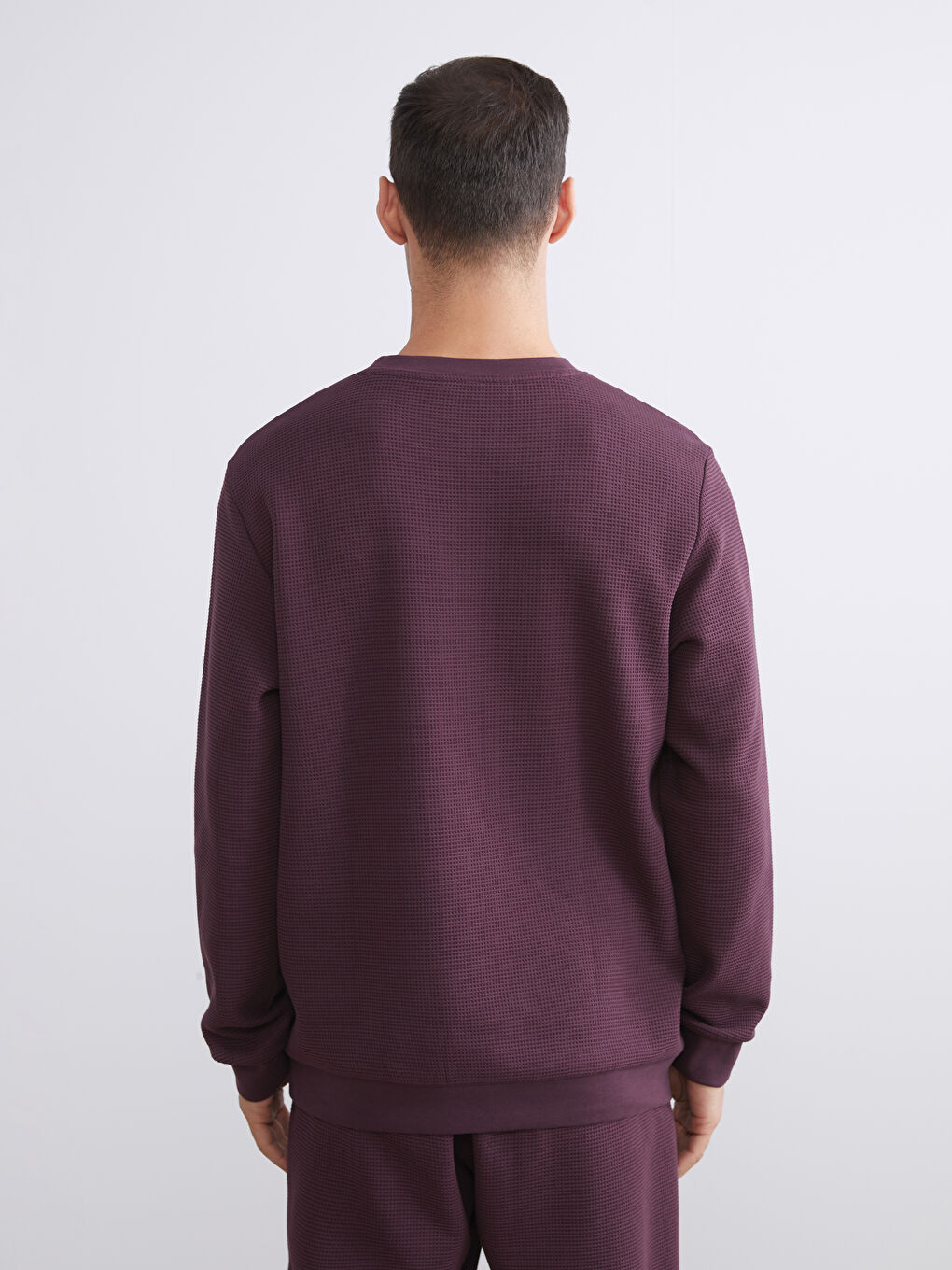 Mürdüm Bisiklet Yaka Dokulu Erkek Sweatshirt-3