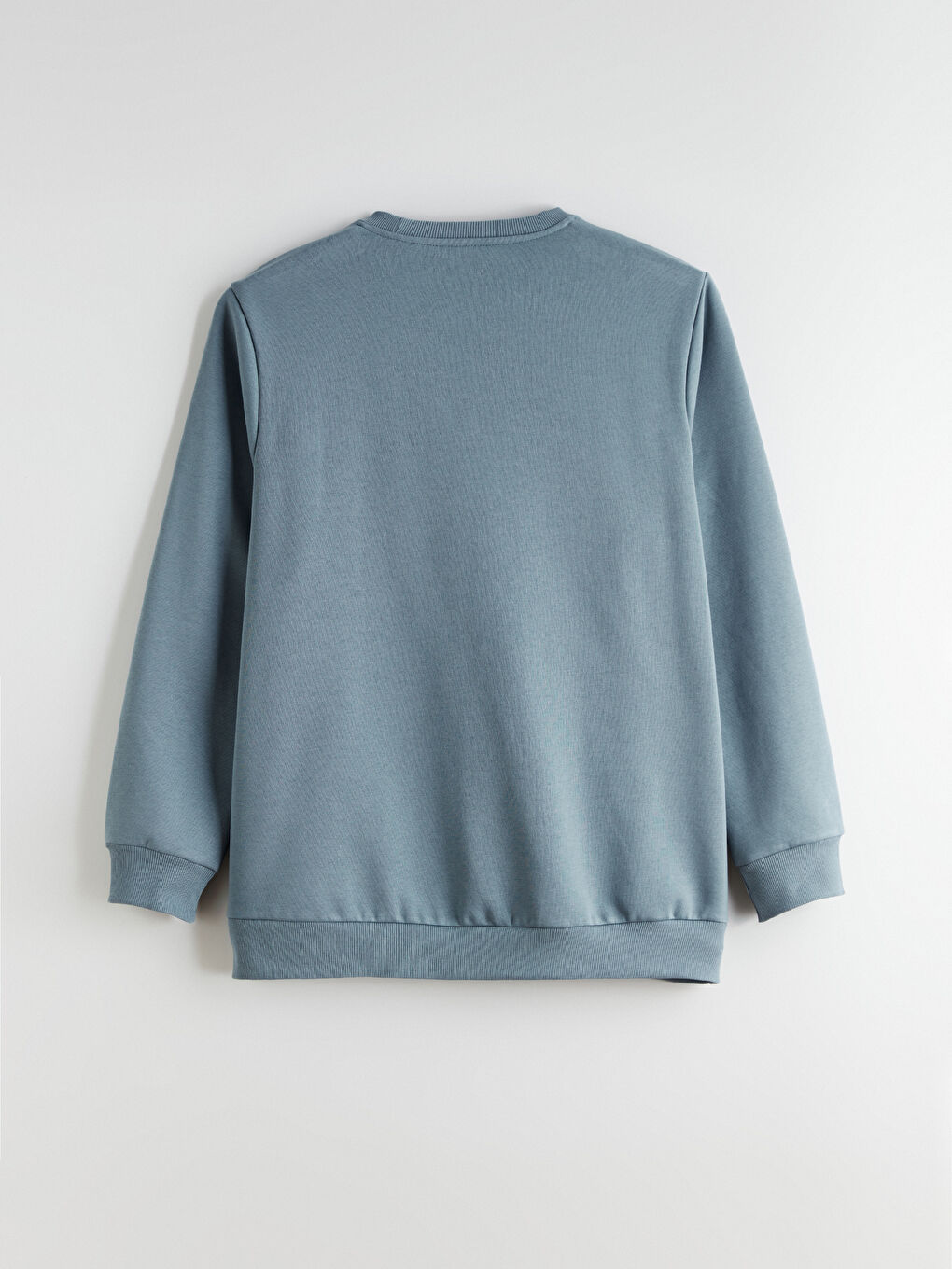 İndigo Büyük Beden Bisiklet Yaka Baskılı Kalın Erkek Sweatshirt-5