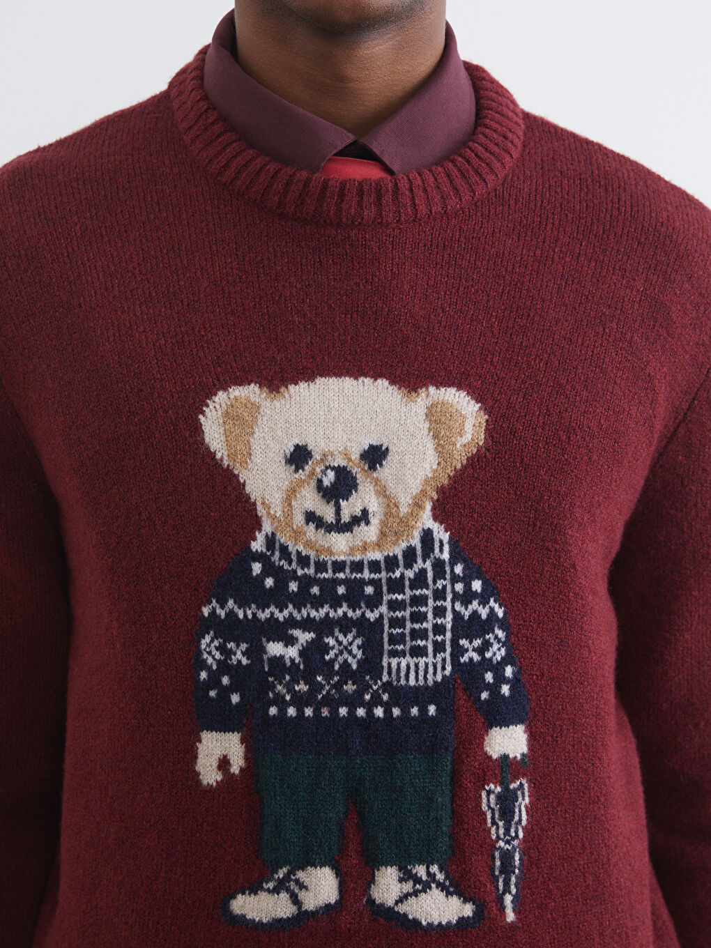 Bordo Bisiklet Yaka Ayı Teddy Baskılı Erkek Triko Kazak-2