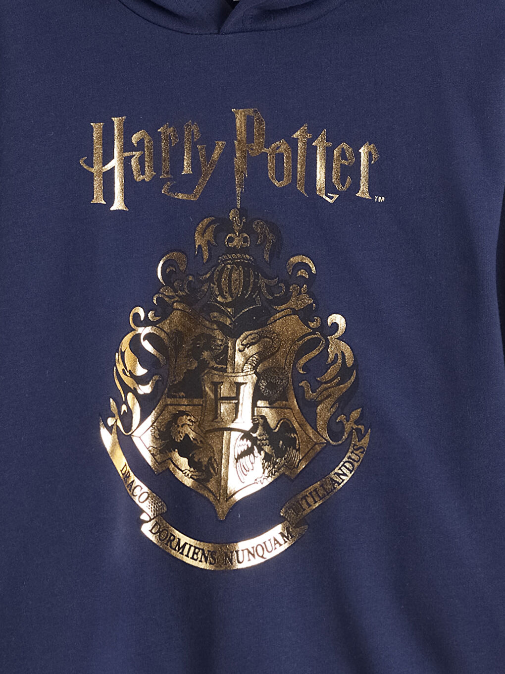 Lacivert Kapüşonlu Harry Potter Baskılı Erkek Çocuk Sweatshirt-2
