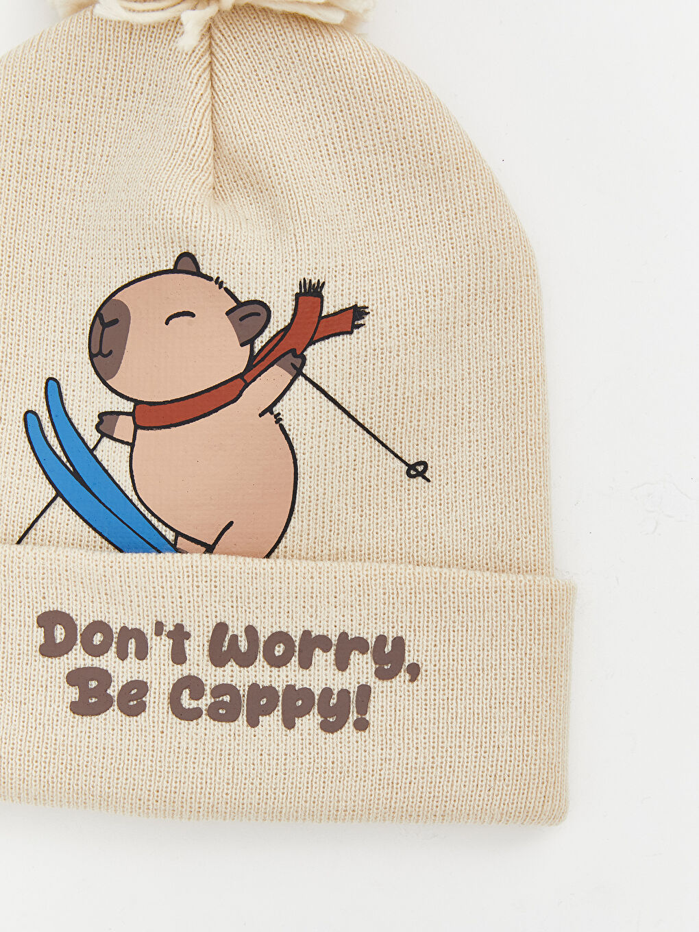 Animal Figured Boys' Beanie-2