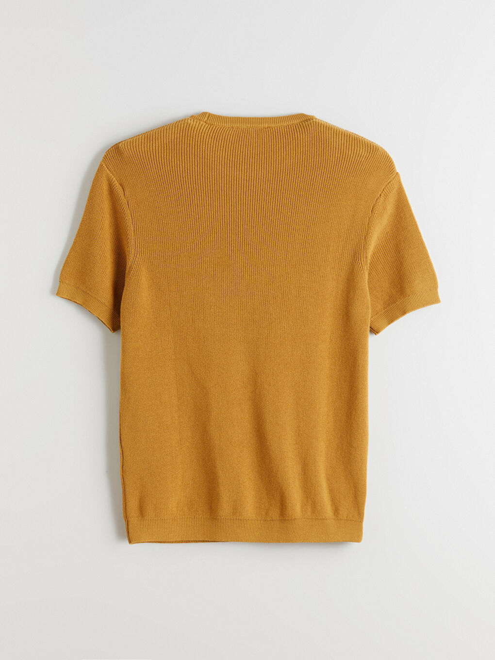 Sarı Bisiklet Yaka Kısa Kollu Erkek Triko Kazak-9