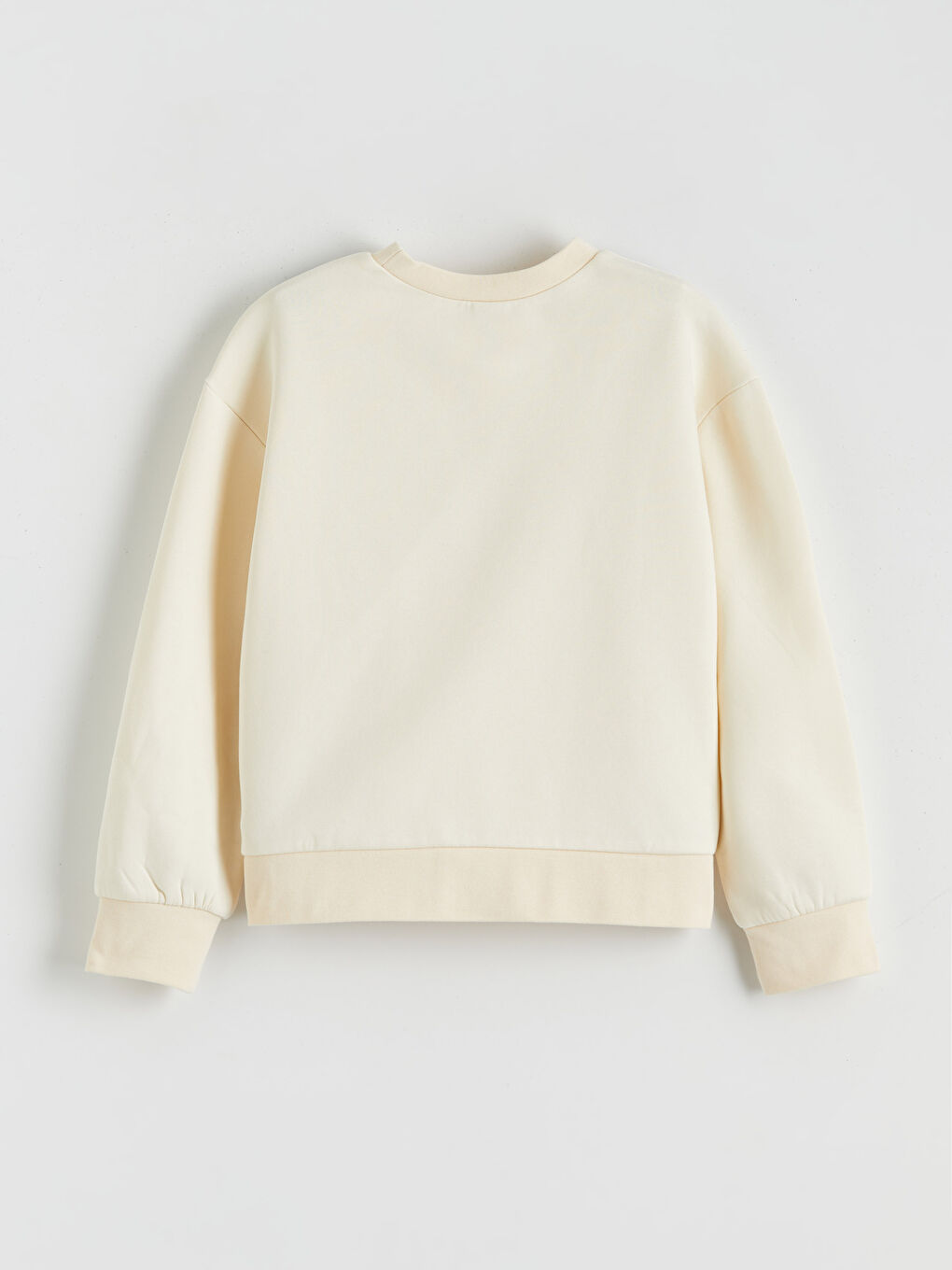 Crew Neck Printed Girls' Thick Sweatshirt-1