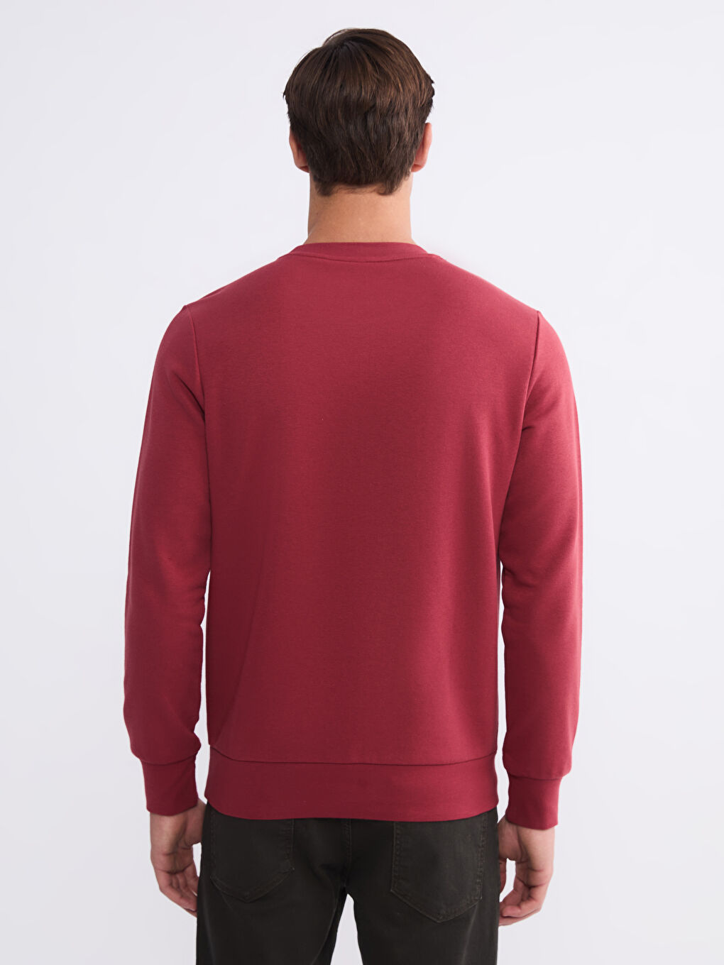 Crew Neck Printed Men's Sweatshirt-3