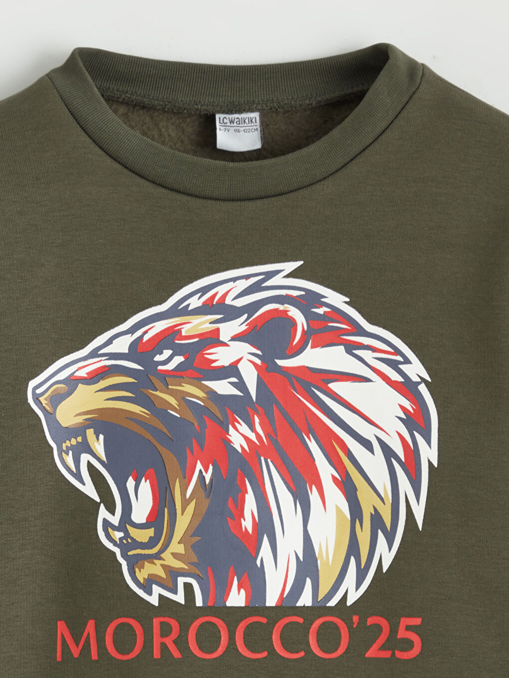 Crew Neck Printed Boys' Thick Sweatshirt-2