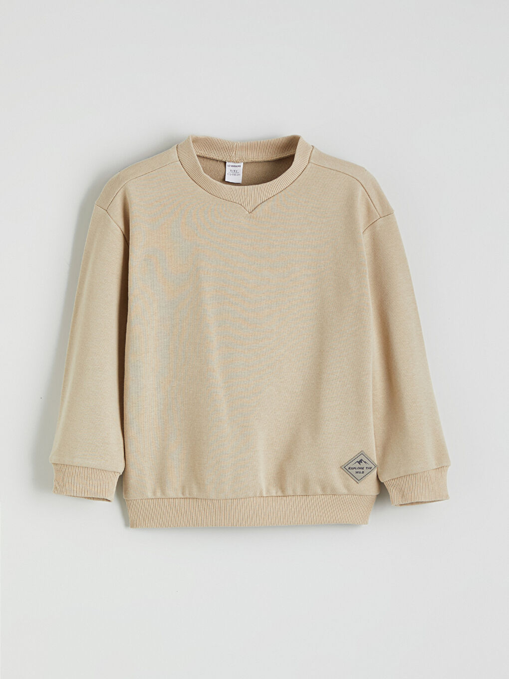 Crew Neck Boys' Thick Sweatshirt